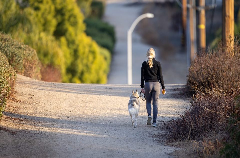 Tutora caminhando com o cão na guia por uma rua arborizada