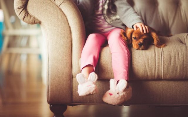 Criança sentada no sofá fazendo carinho em um cachorro pequeno