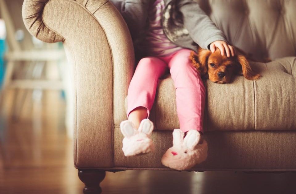 Criança sentada no sofá fazendo carinho em um cachorro pequeno