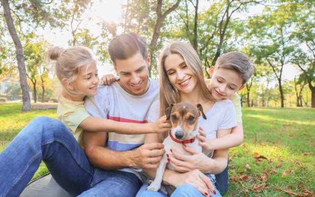 Família sentada na grama do parque abraçando o cachorro em um passeio de fim de semana